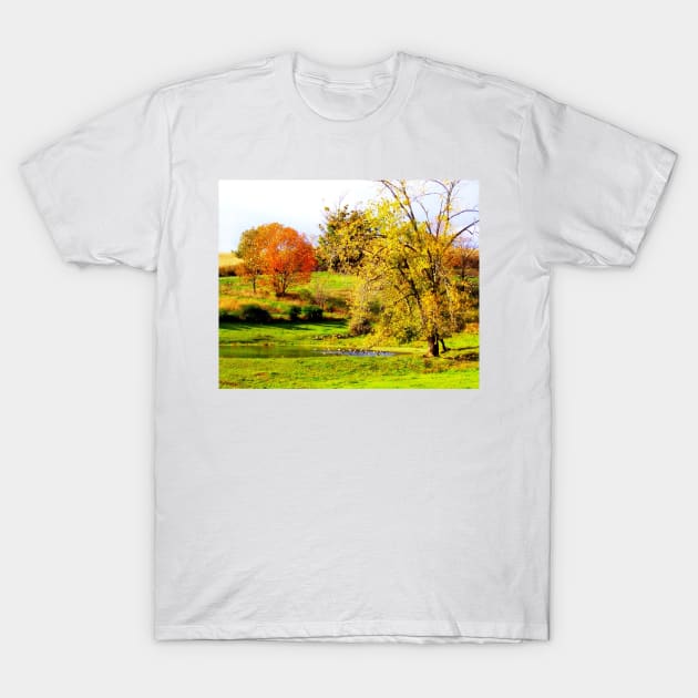 Pastoral T-Shirt by Rodwilliams